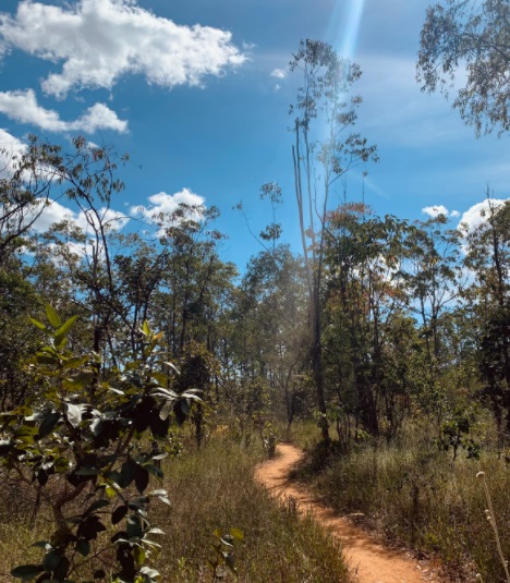 Flona e Parque Nacional de Brasília vão a leilão. Entenda o que