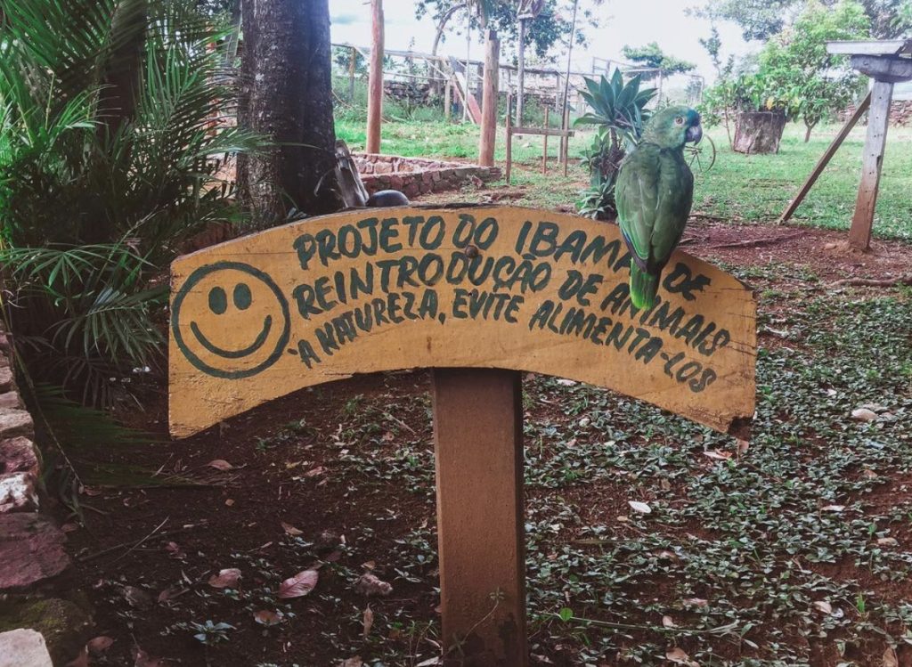 Caso do Rio Melchior simboliza histórico de racismo ambiental