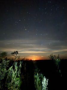 Chapada dos Veadeiros ocupa 1º lugar em ranking de parques para o astroturismo; confira outros pontos de visitação no Brasil